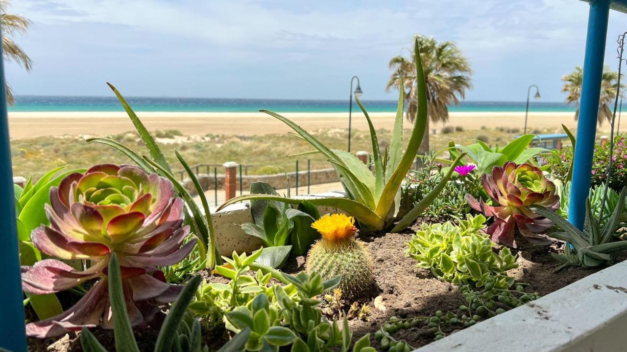 Tarifa Cozy House - Beachfront, Stylish Deco ภายนอก รูปภาพ